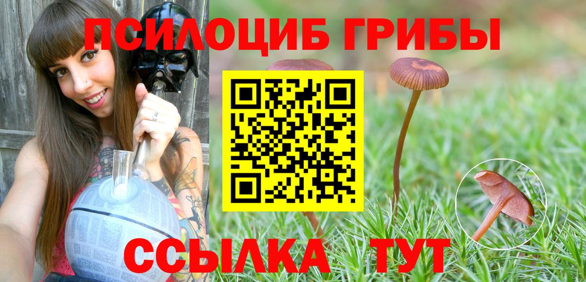 Псилоцибиновые грибы MAGIC MUSHROOMS Ижевск